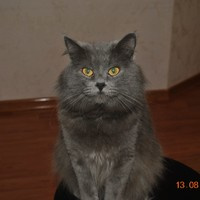 Наталья